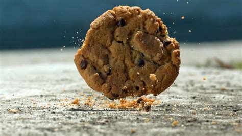 testing the five second rule on dropped food|5 second rule examples.